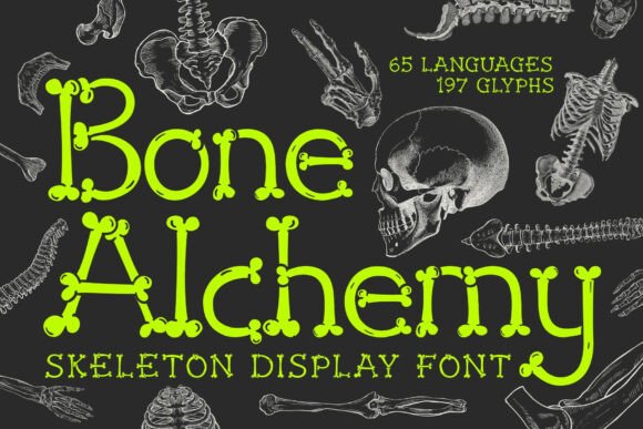 Bone Alchemy: Turning Skeletal Forms into Bold Typography