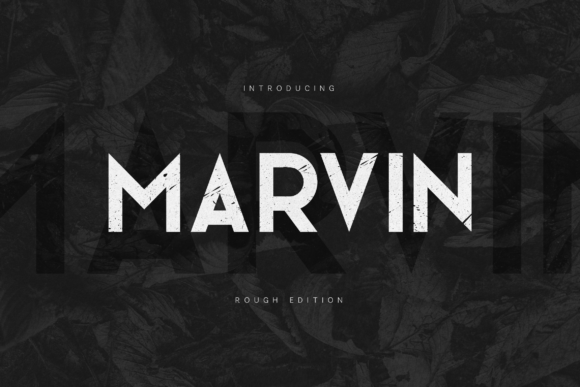 Marvin: Crafting a Visual Identity with Unrefined Energy